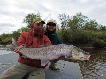 Pike and Sheefish on the Fly