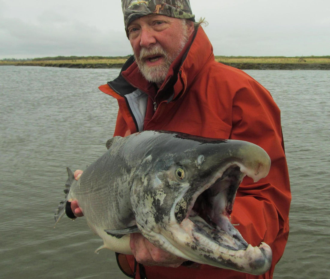 Coho Chaos: Madness in Alaska