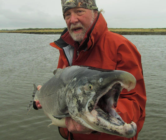 Coho Chaos: Madness in Alaska
